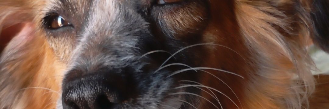 mar_preira's profile banner image
