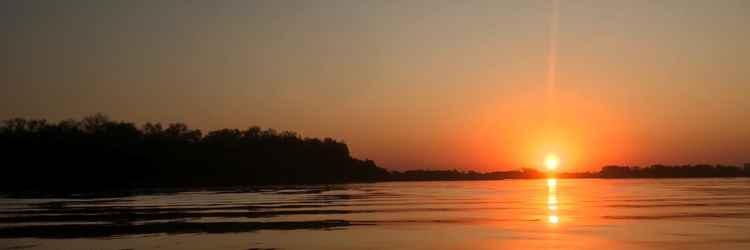 AramisMayr's profile banner image