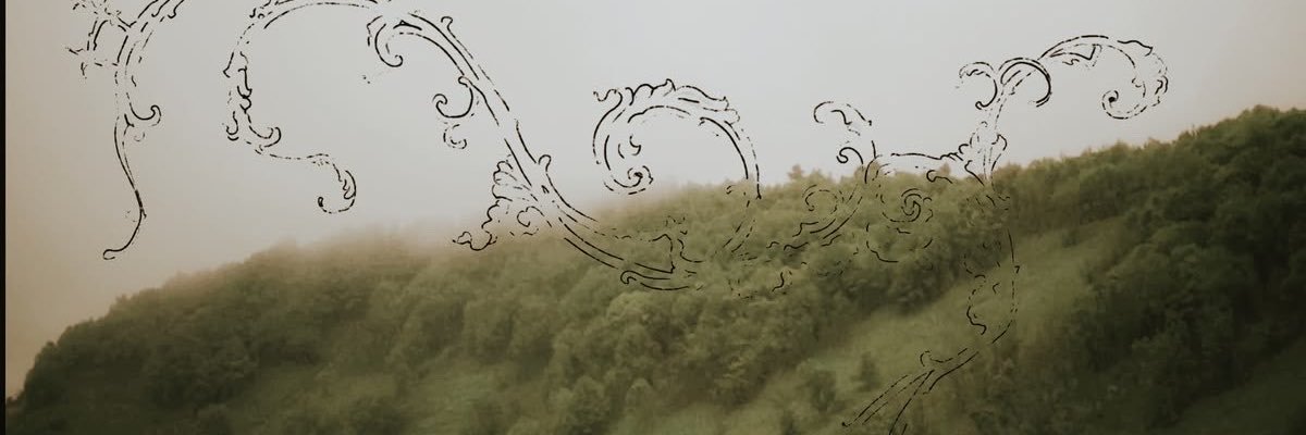 vitylovebug's profile banner image