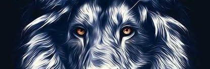 FiftyThr33's profile banner image
