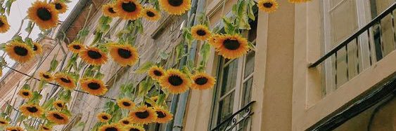 𝑣𝑖𝑣𝑖𝑑𝑛𝑒𝑠𝑠✿ banner