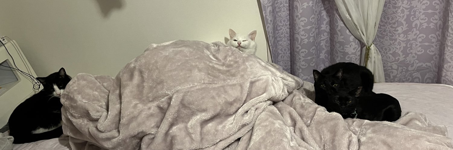 香川 素子 banner