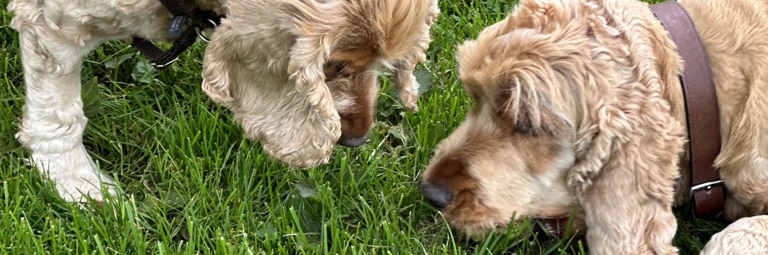 Paolina Soprano banner