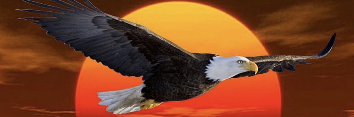 Angy banner