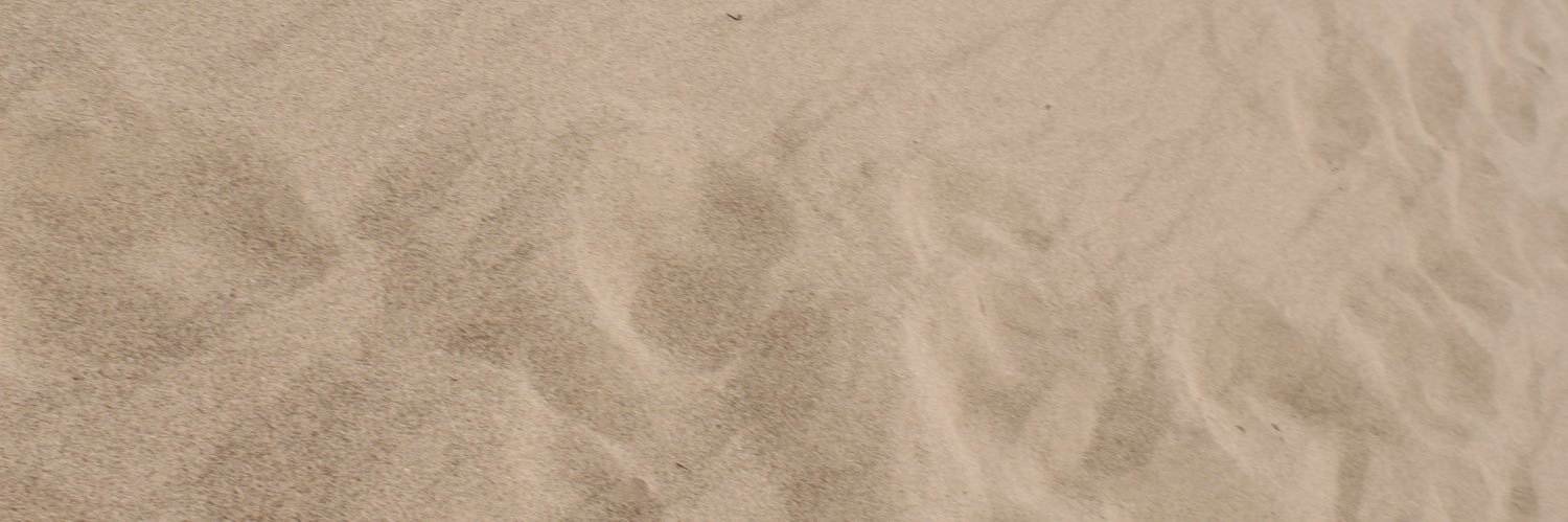 ccrstrna's profile banner image