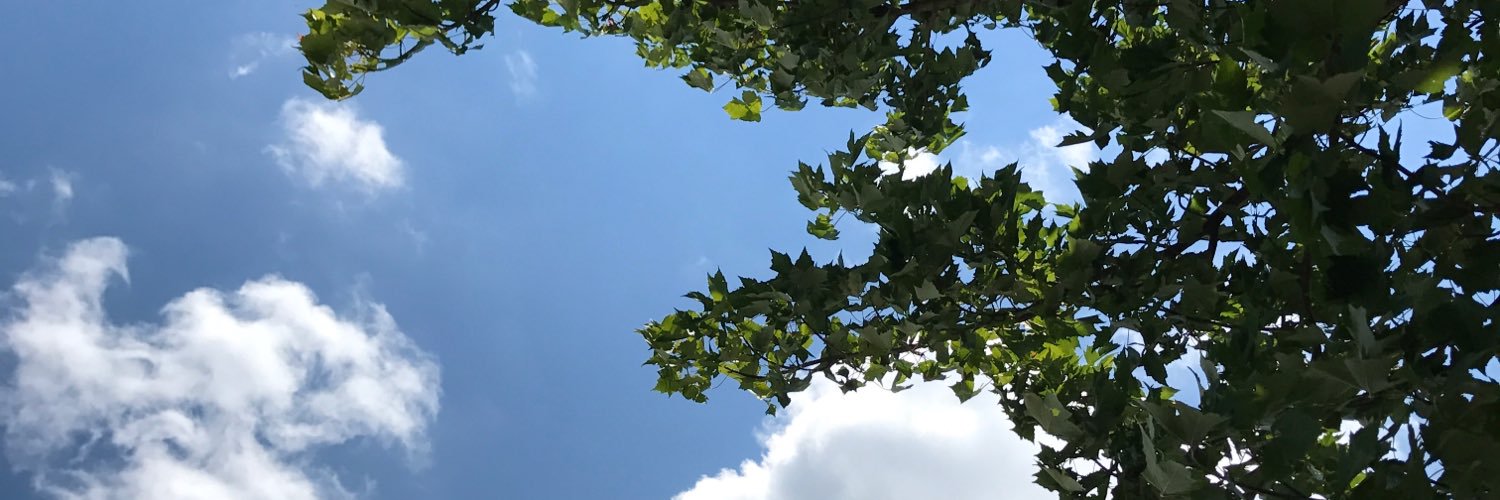 lmorrisrainey's profile banner image