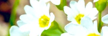 zlv8o's profile banner image