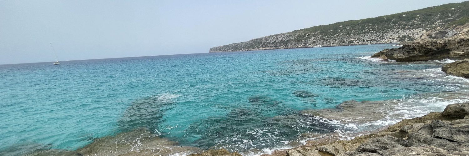 mariallfalco's profile banner image