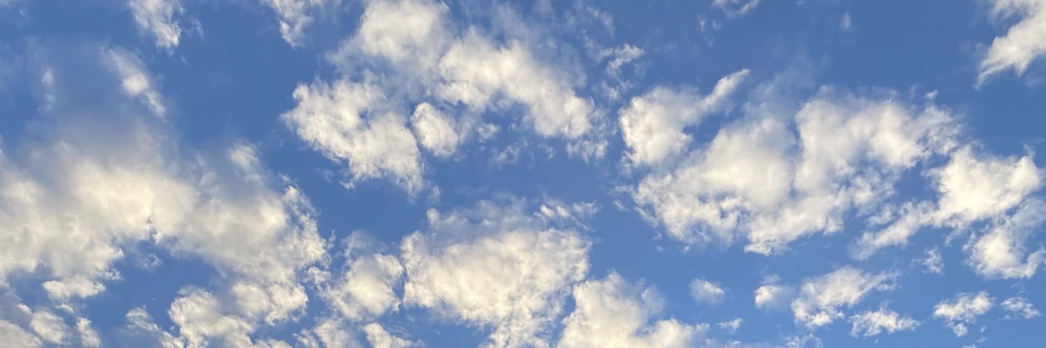 M A R T A banner
