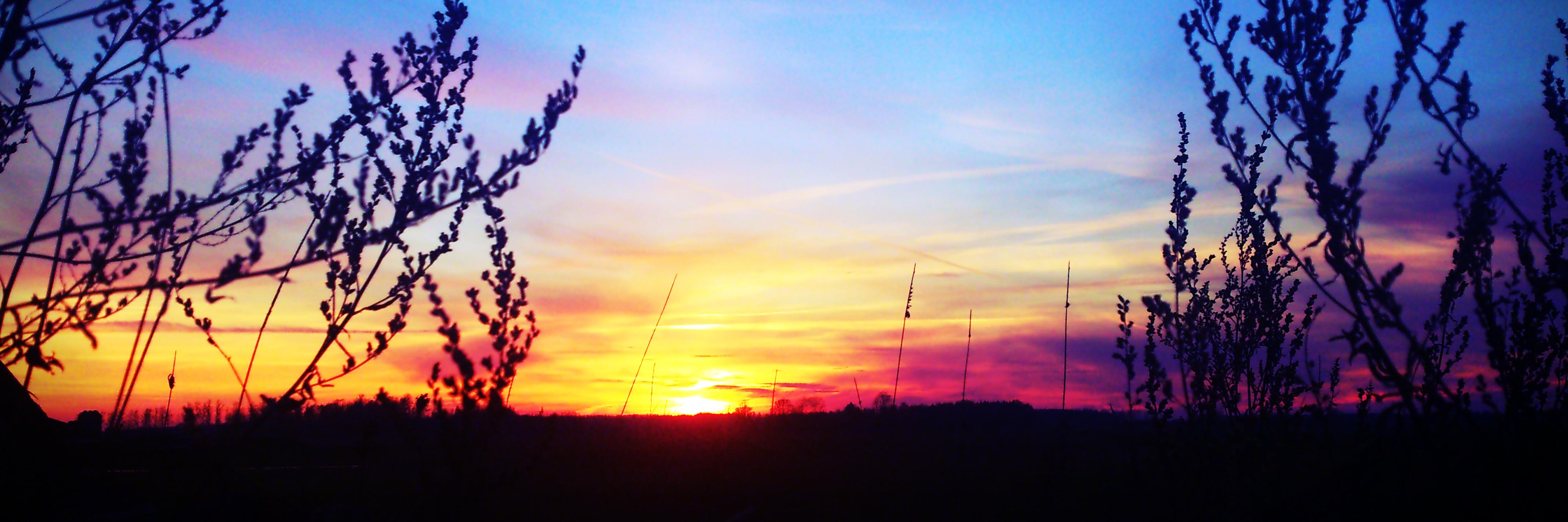 CunixR's profile banner image