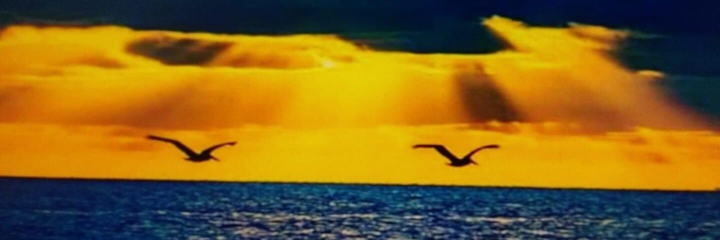 chevy_boca's profile banner image