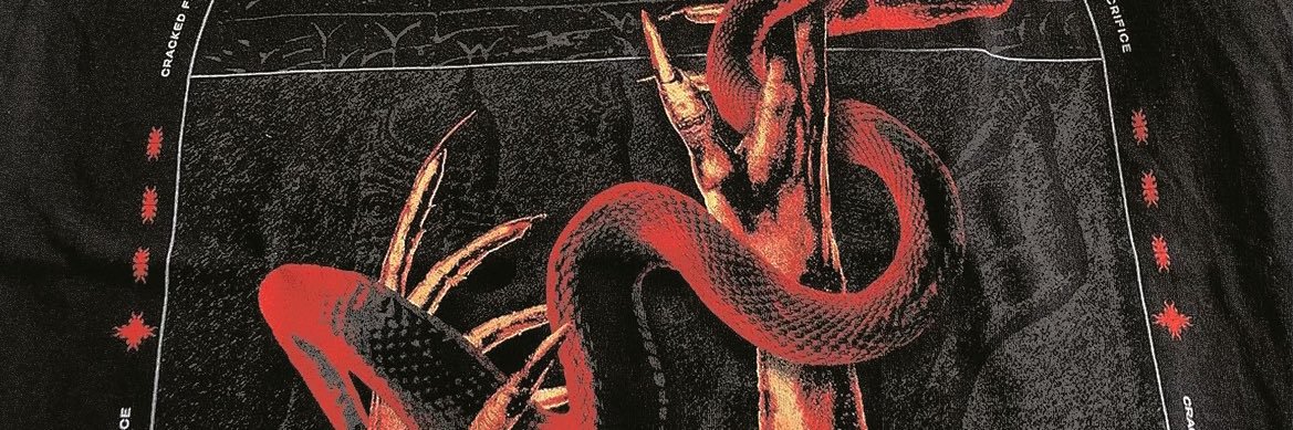 ZacShiffer's profile banner image