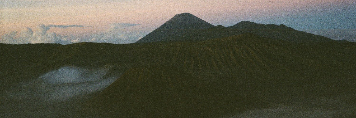 linataa's profile banner image