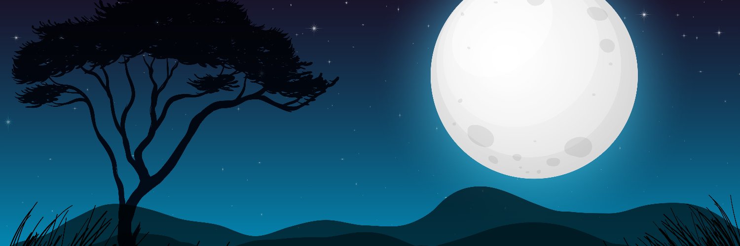 sapiophile_sage's profile banner image