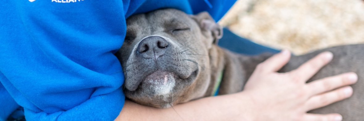 Humane Rescue banner