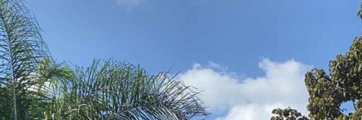 CKiburi's profile banner image