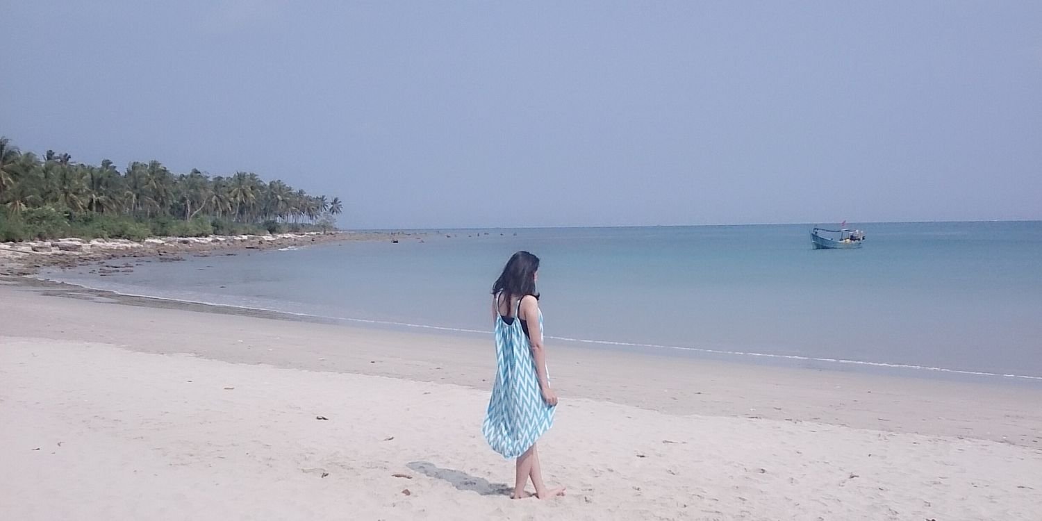 raisanovel's profile banner image