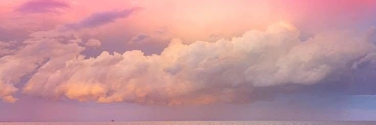 Ava's banner