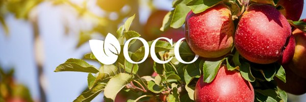 orgcouncil Profile Banner