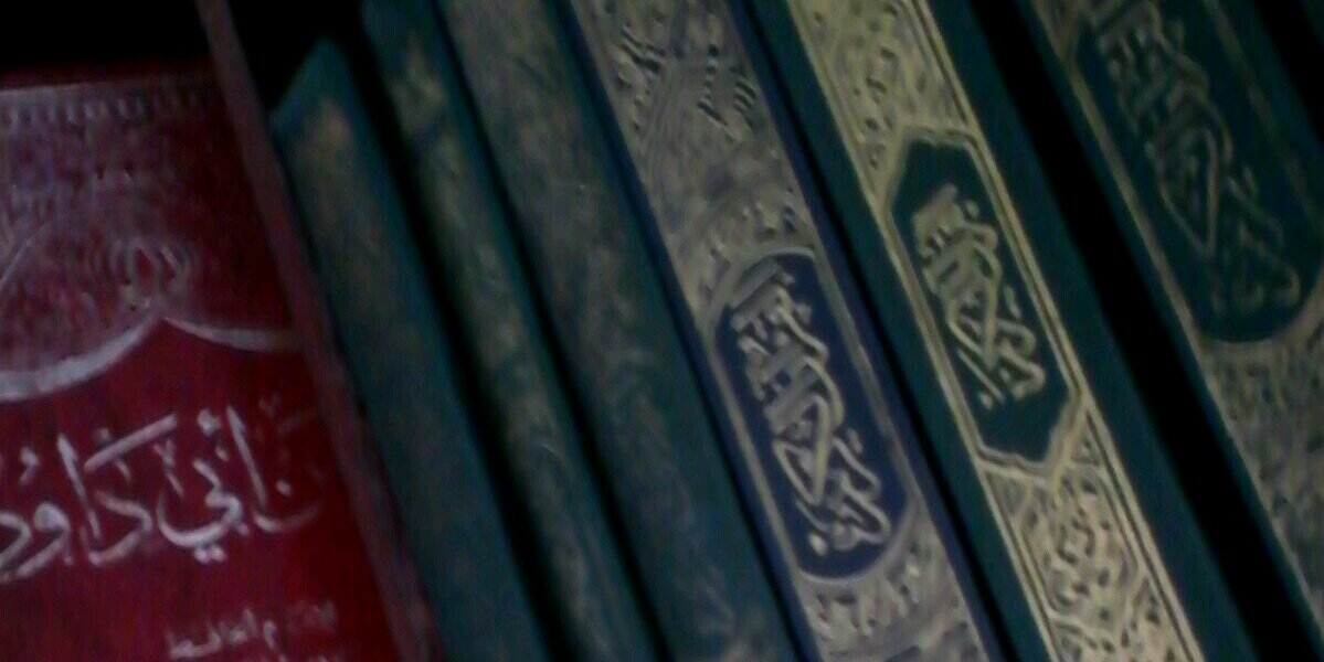 fthaqque's profile banner image
