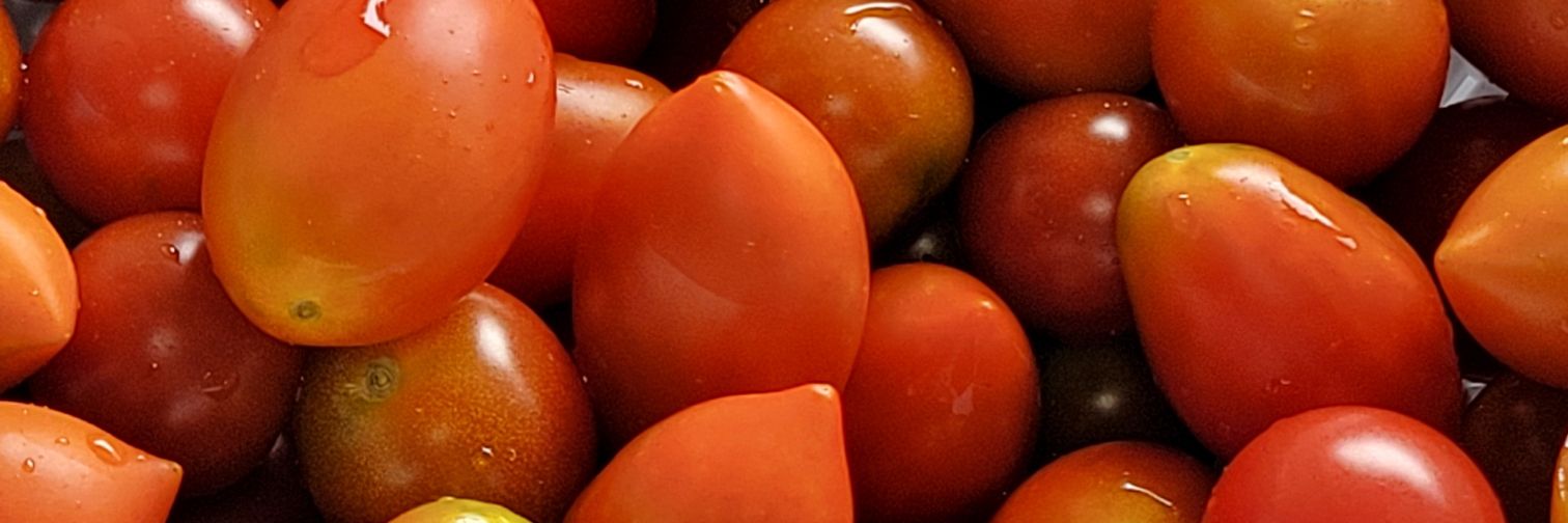 copecora's profile banner image