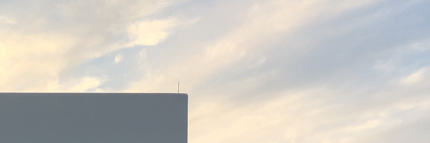 Zyns banner