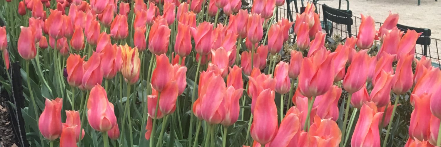 hannahnsdc's profile banner image