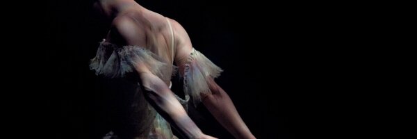 ty_sing Profile Banner