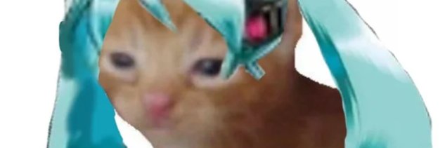 batcoonyt's profile banner image