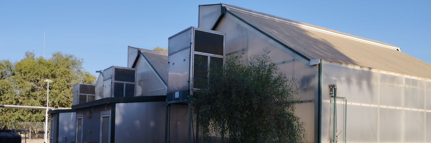 Dan Kwakye🍃 banner