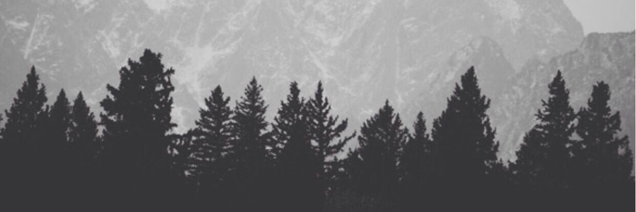 plugvisuals's profile banner image