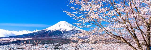 株神 banner
