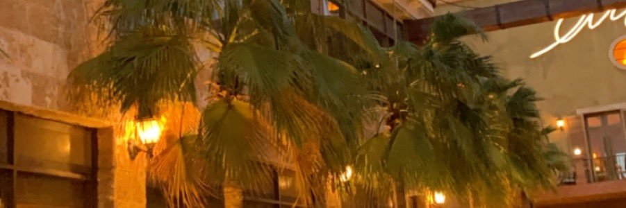 om_mayanotb's profile banner image