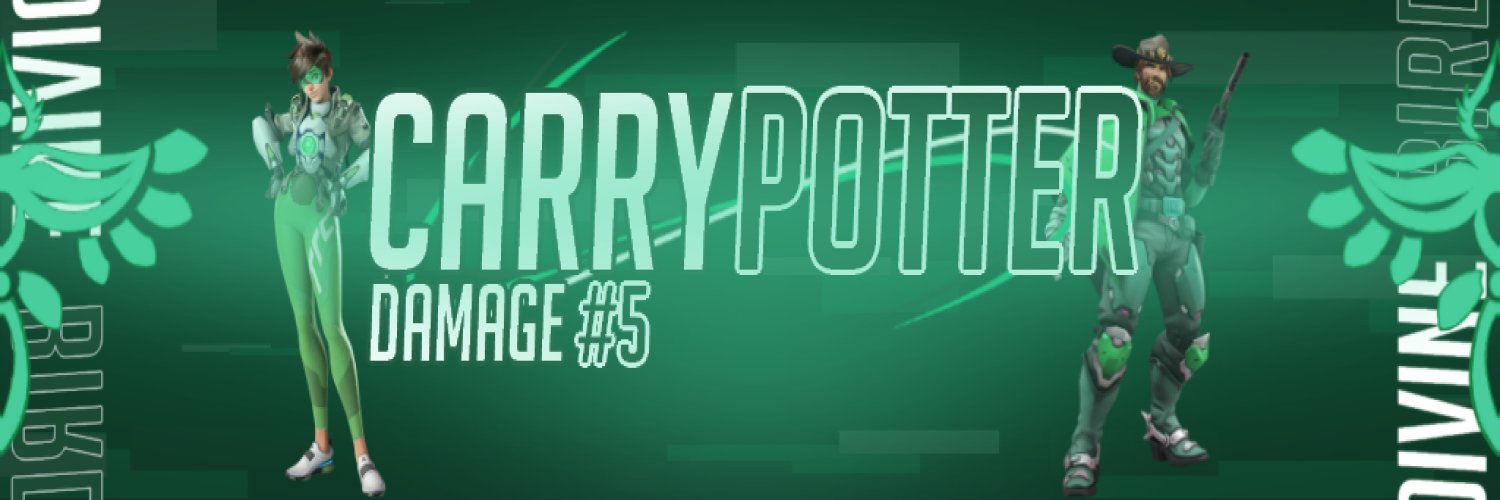 CarryPOTTER banner