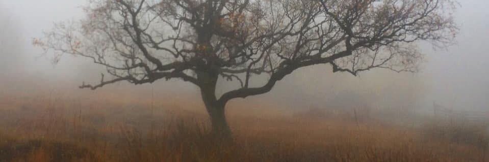 lukew945's profile banner image