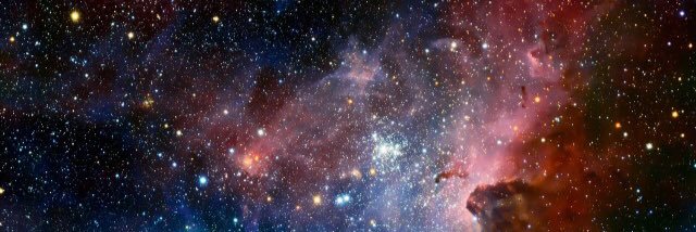 nicolescott___'s profile banner image