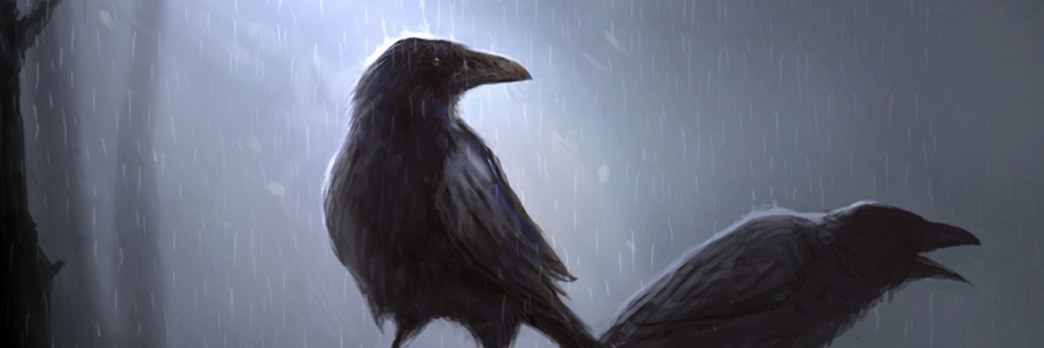 vanski___'s profile banner image