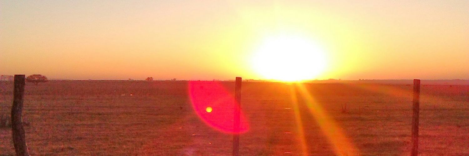JorgeServidio's profile banner image