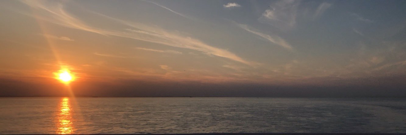 jadeetalman's profile banner image