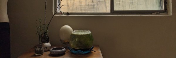 FoxAlice Profile Banner