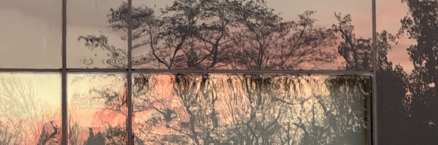 Keri Cronin 😷 banner