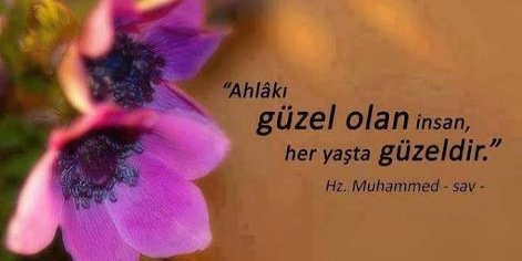 Hasan Tahsin Balceli banner