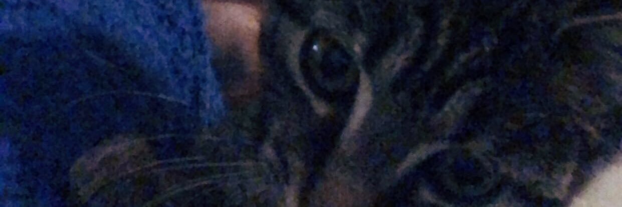 cassandrawma's profile banner image