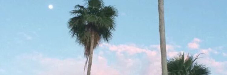 emma_sharp's profile banner image