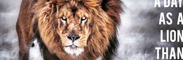 TheCoachChris's profile banner image