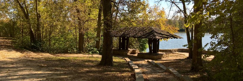 Tim Ciarlette banner