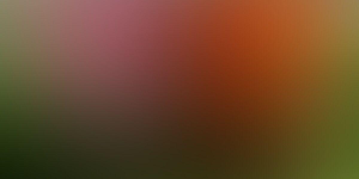aidaortegam's profile banner image