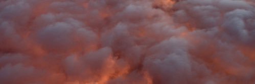 endemonhada's profile banner image
