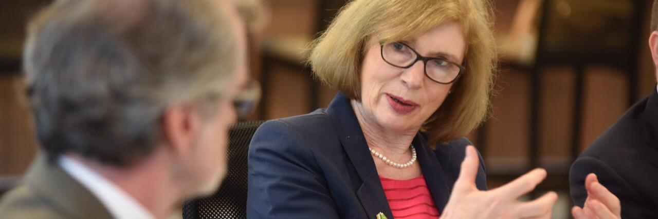 Jan O'Sullivan banner