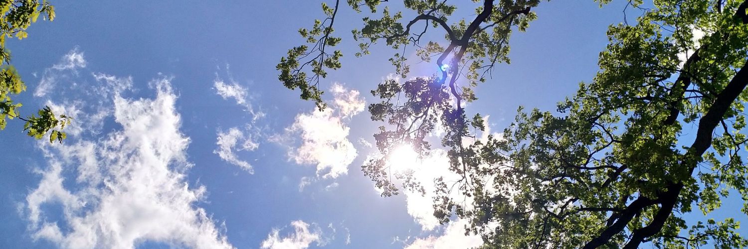 _KerstinM_'s profile banner image